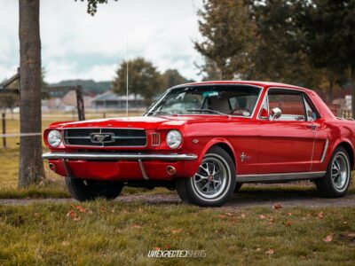 Rent a 1965 Ford Mustang in Cologne