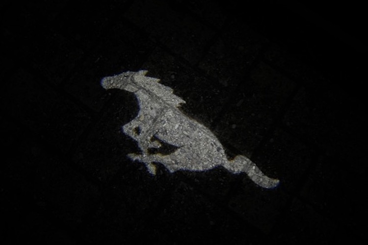 Symbol Mustang