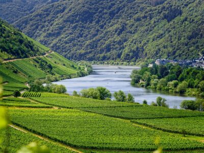 The Mosel Valley and German Wine Route