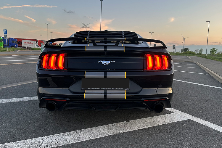 Back Ford Mustang 2.3 Ecoboost in Braunschweig