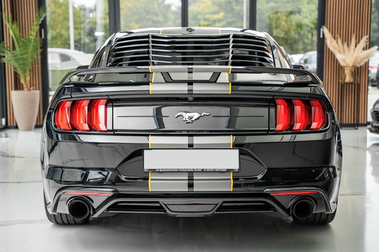 Back view Ford Mustang 2.3 Ecoboost in Braunschweig