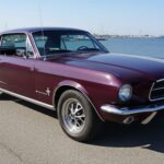 Rent a 1967 Ford Mustang in Flensburg Hero