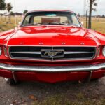 Rent a 1965 Ford Mustang in Cologne