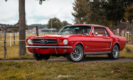 Rent a 1965 Ford Mustang in Cologne