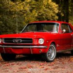 Rent a 1965 Ford Mustang in Cologne