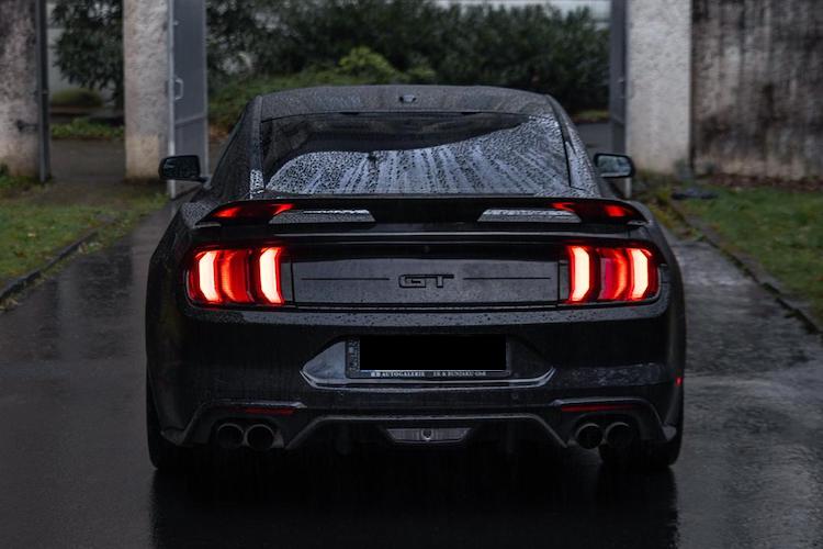 back
