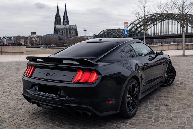 Back