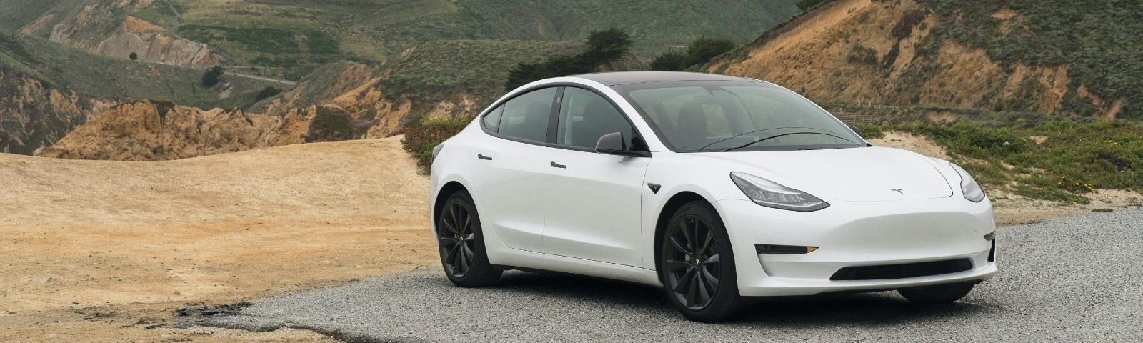 Rent a Tesla