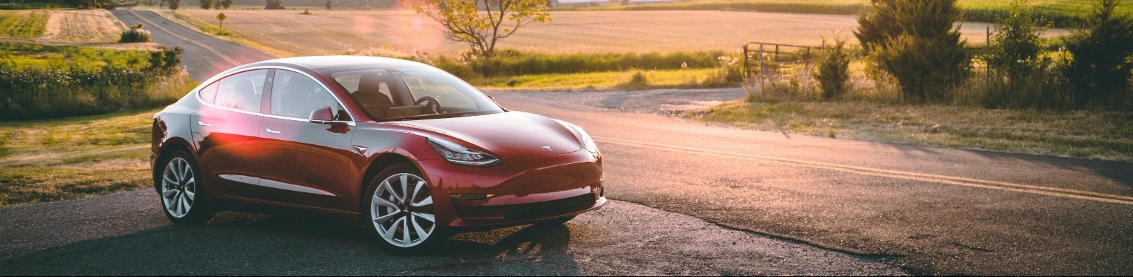 Rent a Tesla