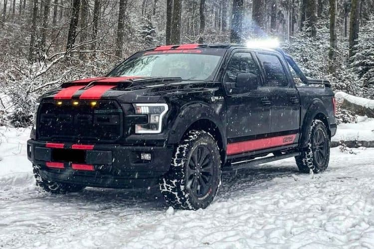 Rent a Ford F150 in Frankfurt