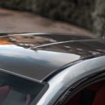 carbon roof
