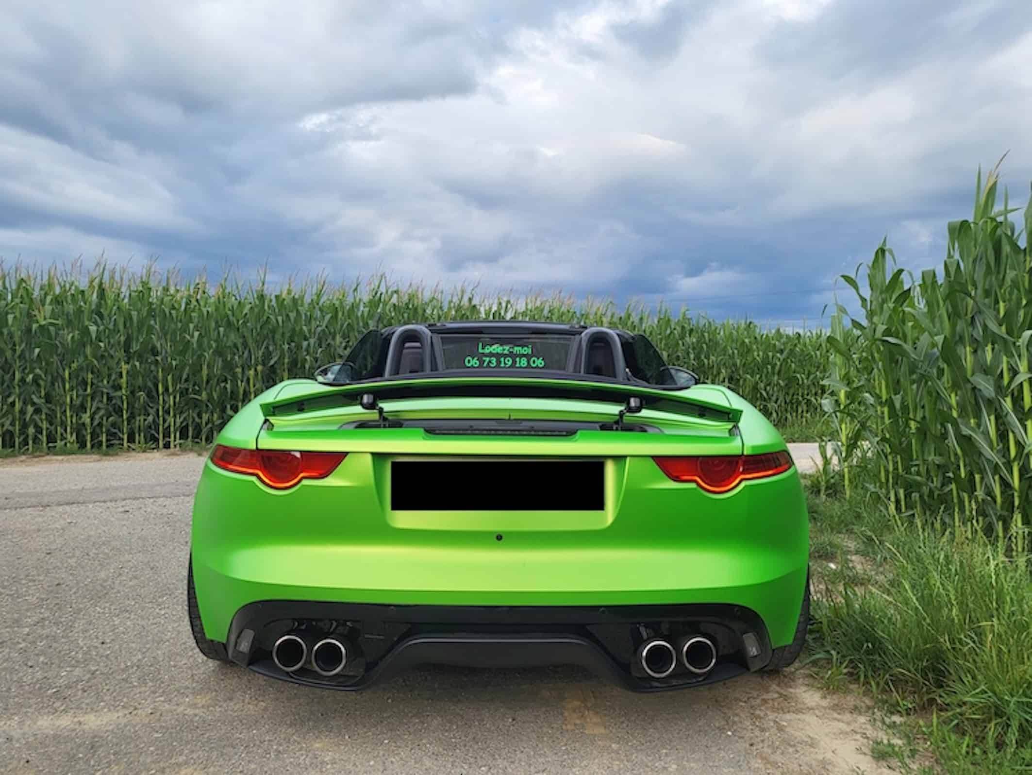 Back