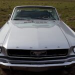 Front from Ford Mustang Oldtimer Convertible in Hannover