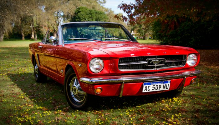 Ford Mustang Black horse Review | 2024 Model Overview