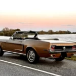 Back View of a Ford Mustang Convertible in Hamburg