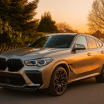Rent a BMW X6M Competition in Berlin