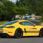 Porsche Cayman GTS 4.0 Hero Pictures Back